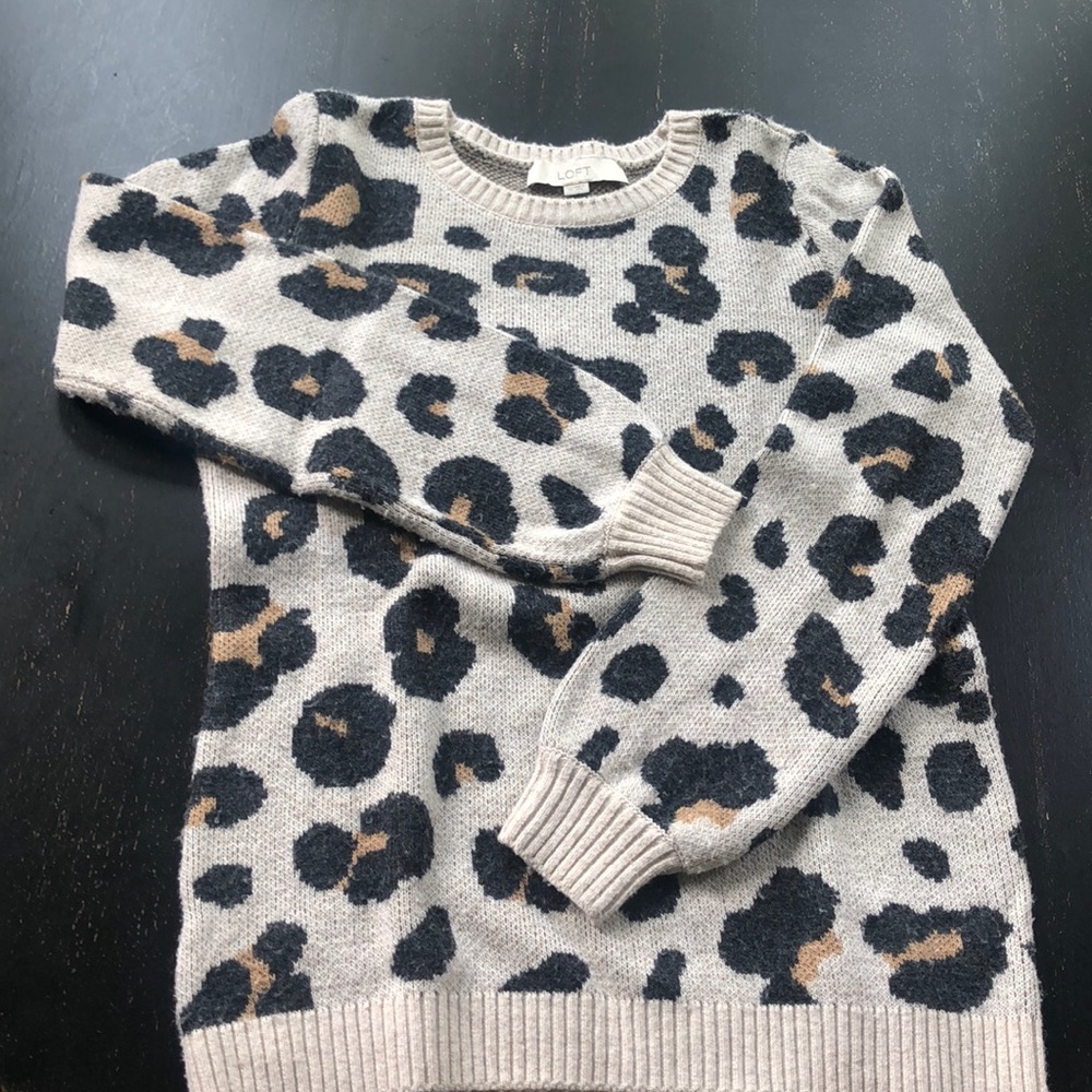 Loft XS Leopard Print Sweater